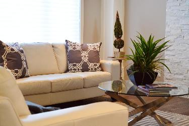 Professional Upholstery Cleaning in Prescott, AZ