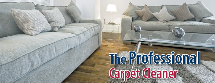 Professionals In Prescott, AZ, Who Clean Upholstery Can Help