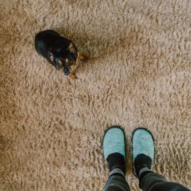 Prescott Valley Carpet Cleaning. Why Regularly Clean Carpets?