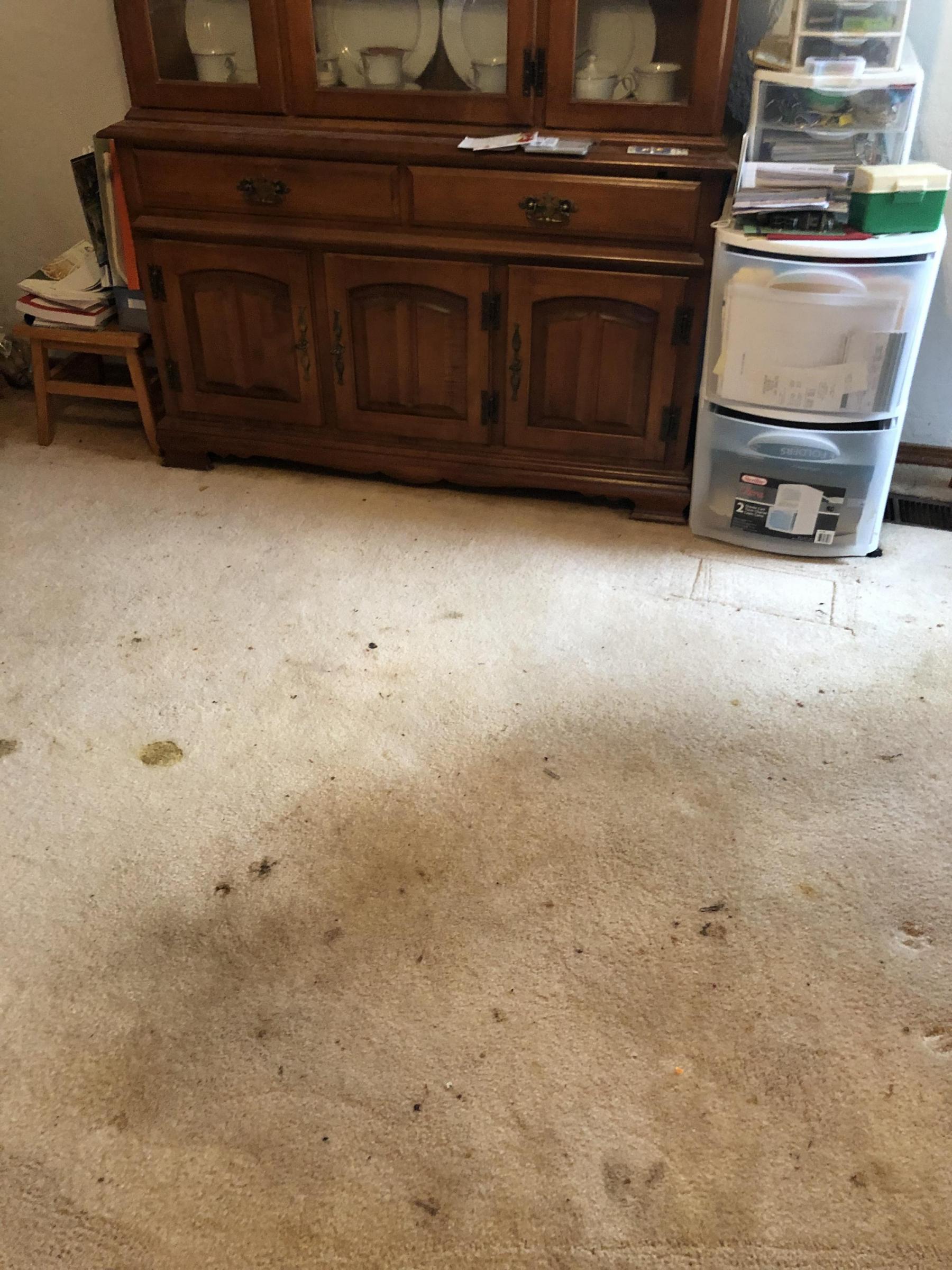 Why Vacuuming Alone Doesn’t Work. Prescott Carpet Cleaning