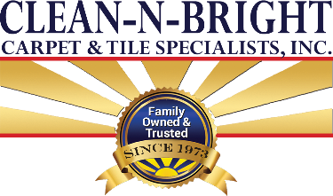 Contact Clean-N-Bright for Your Upholstery Cleaning Appointment