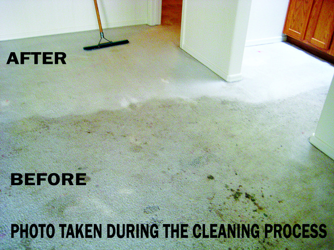 Prescott Carpet Cleaning: Best Carpet Cleaning Method?