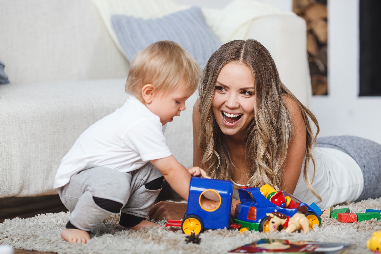 Prescott Carpet Cleaner. How To Deal with Dust Mites?