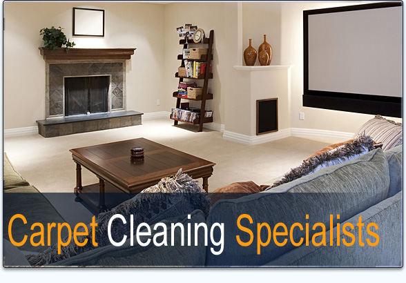Professional Prescott Carpet Cleaner