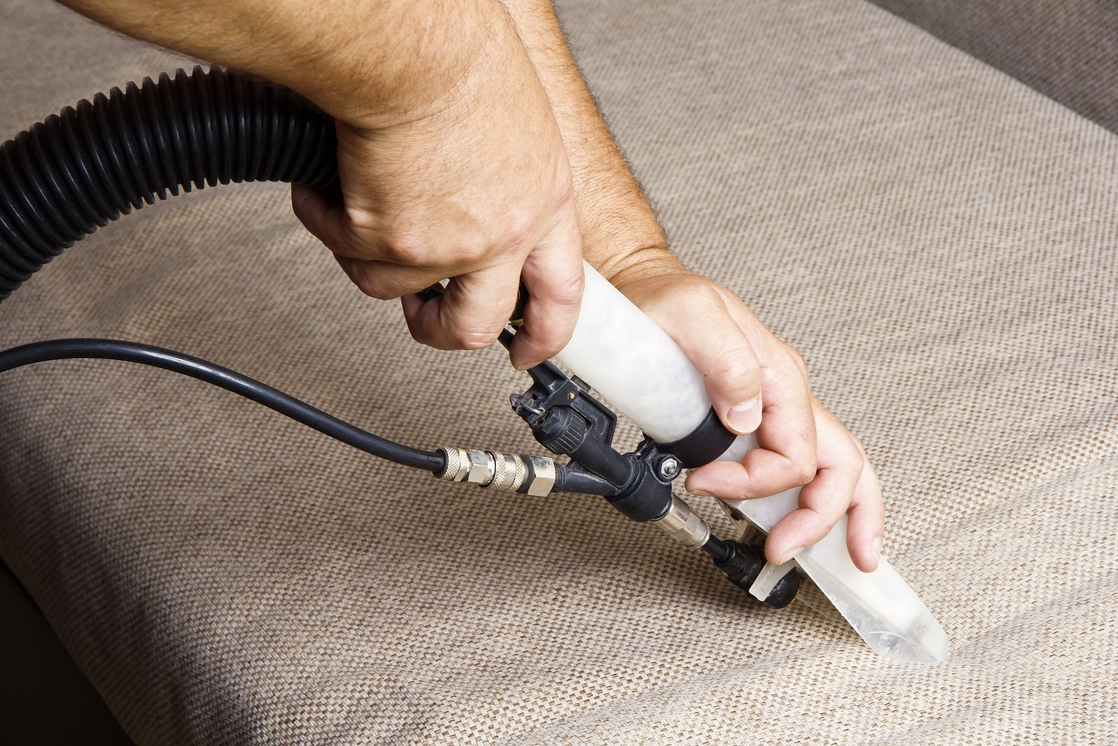 Steam Cleaning Carpet